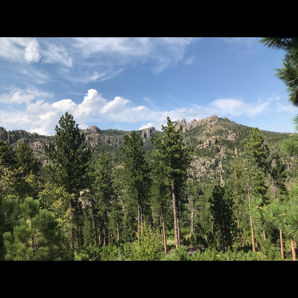 Meet your Posher, Toleshi